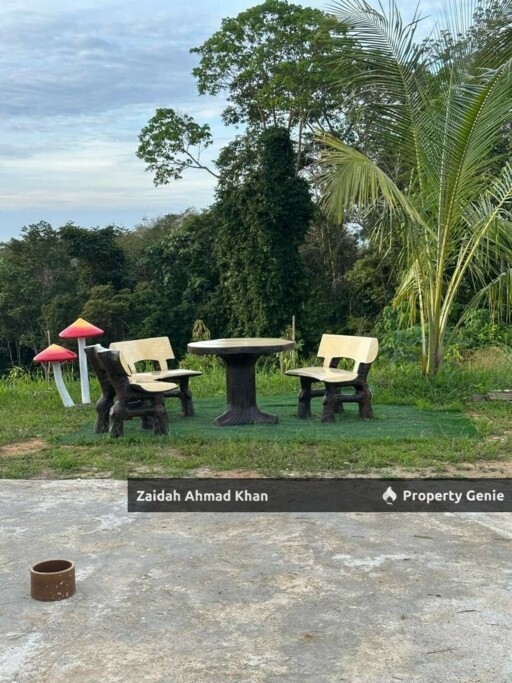 Durian Orchard Premium For Sale