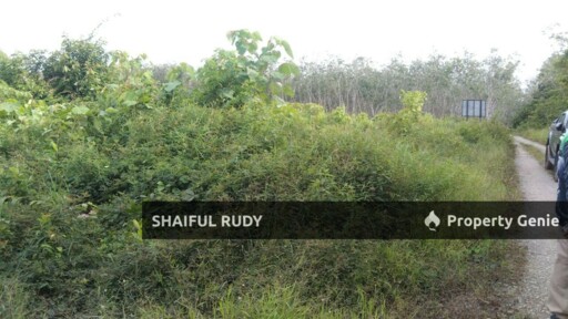 TANAH PERTANIAN untuk Dijual di Kampung Bukit Tingkat, Mukim Sanggang, Temerloh, Pahang