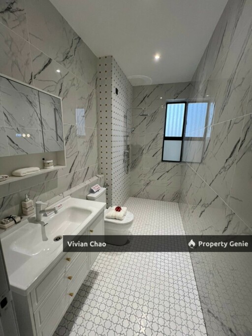 Big Size Freehold Double Storey @Botani