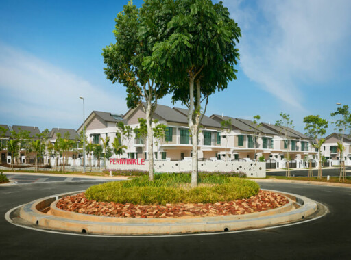 Periwinkle, Rimbayu