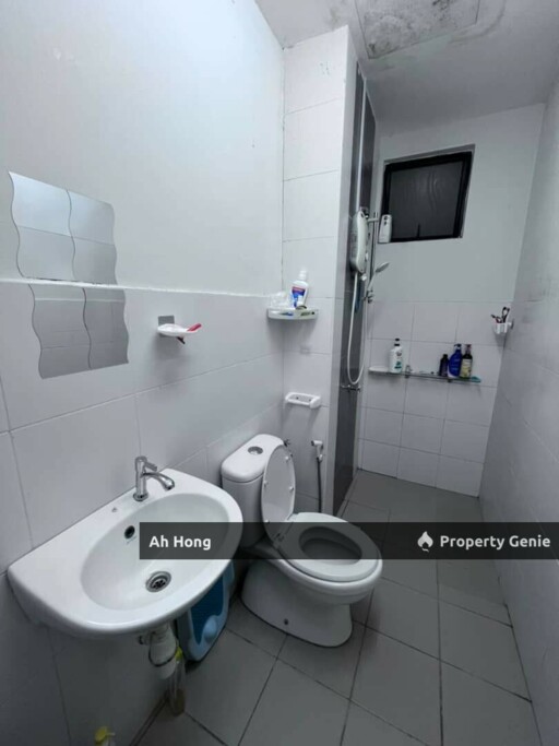 Full Loan / Tampoi / Jentayu Residence / Renovated / Freehold
