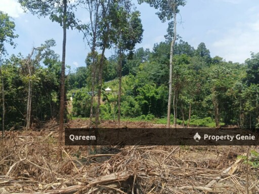 [FEEEHOLD] 3 Ekar Pekan Rasa, Sebelah Sungai. Batang Kali