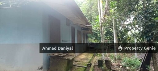 Oil Palm Land @ Ulu Cheka Jerantut Pahang For Sale