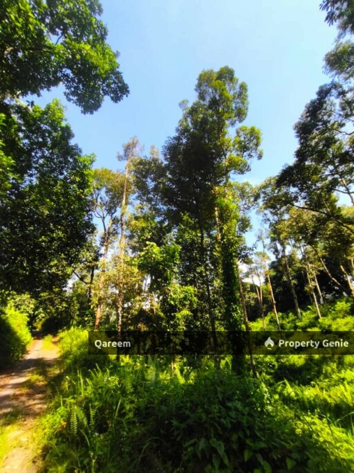 Dusun Durian Kampung Hulu Tamu Batang Kali