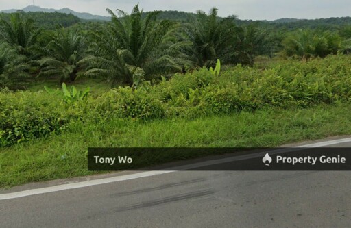 WTS Agriculture Land with Palm Oil Farm In Negeri Sembilan.