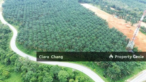 Kota Tinggi Agricultural Land for Sale