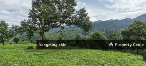 Chenderiang, Tapah Land For Sale