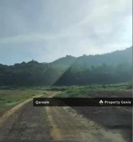 22.5 Ekar Tanah Kosong Padang Terap Kedah