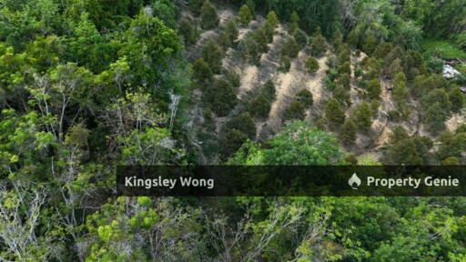 Liman Kati, Kuala Kangsar, Perak Freehold 3.15 acres Agricultural Land
