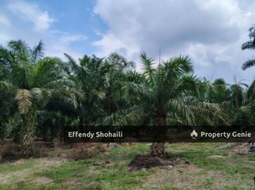 MUAR PARIT JAWA TANAH PERTANIAN