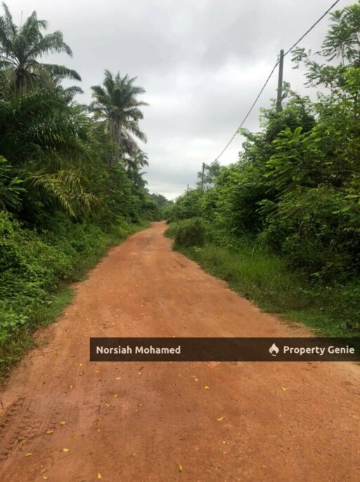 Tanah Potensi Emas - Sesuai Kebun Musang King  atau Projek Ternakan Ikan dan Ayam, Kuala Pajam, Beranang, Selangor