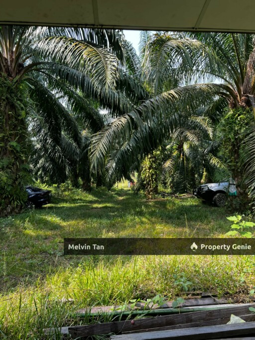 Alor Gajah,Lendu