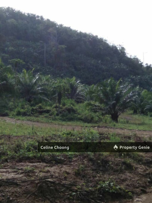 Sungai siput perak P003