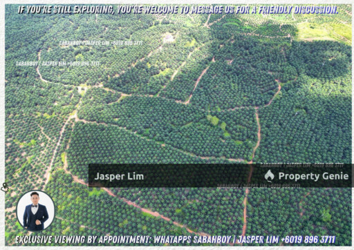 Kunak - Semporna Plantation Flat Land