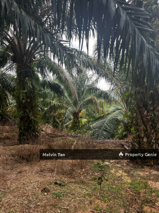 Alor Gajah,Ayer Paabas