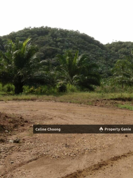 Mukim Mercang, Terengganu P004
