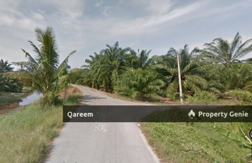 2.01 Ekar Ladang Kelapa Sawit Kg Sekendi Sabak Bernam