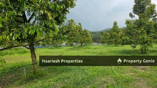 For Sale 17 Acres Durian Plantation Land Air Keroh Melaka