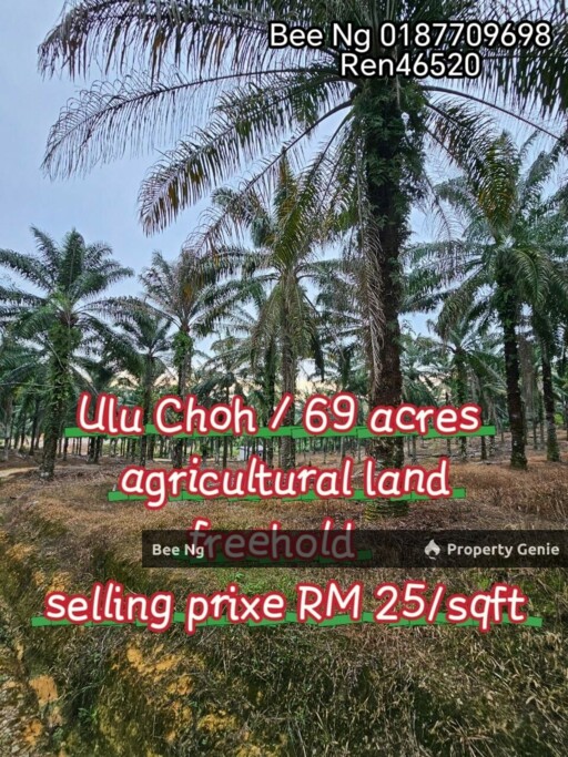 Ulu Choh / Agricultural Land