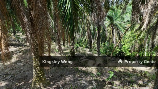 Sg Siput Perak Freehold Oil palm Agricultural land 3.5 acres  Slope land
