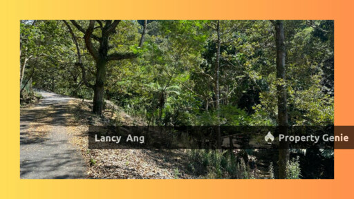 Main Road, Durian Form, Raub, Pahang