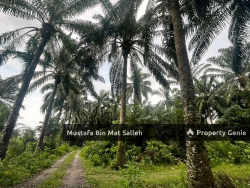 [Tanah Zon Kampung] Kg Air Melintas Besar, Tasek Gelugor