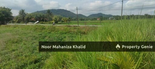 Tanah Pertanian Batu Tambun, Mukim Rambai Kedah