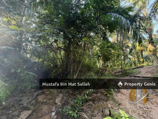 [Kebun Sawit] Sungai Tengas, Kulim, Kedah