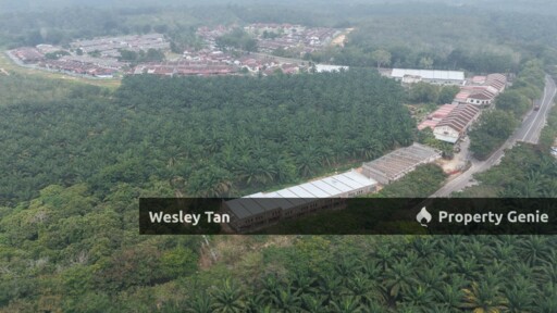 Bemban Freehold Agricultural Land With Access Road First Layer
