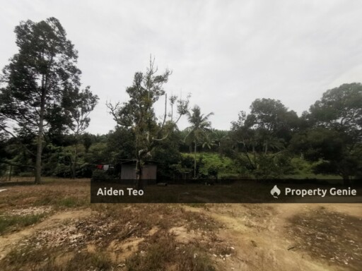 Machap Baru For Sale Alor Gajah For Sale
