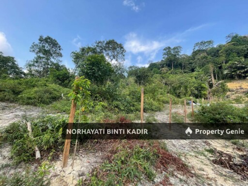 (HOT AREA) TANAH KEBUN DI BUKIT KUIN 2, KUANTAN