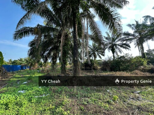 Gopeng Ipoh Perak Agriculture Flat Land For Sale, Freehold Beside road Agricultural Land