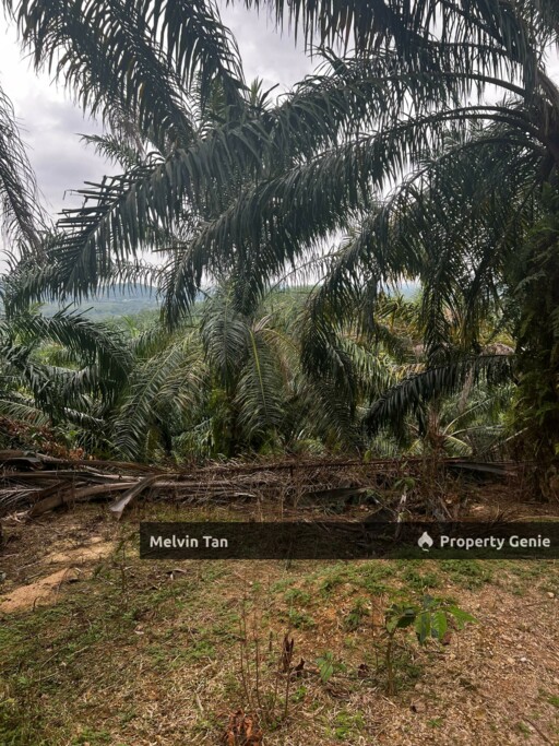Alor Gajah,Ayer Paabas
