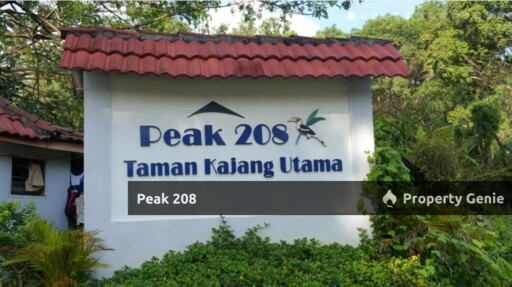 Peak 208