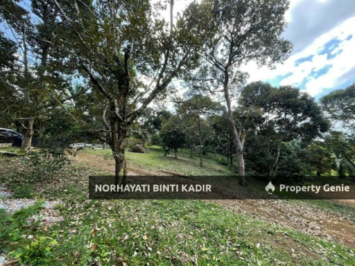 (HOT AREA) LOT BANGLO RTP BUKIT GOH BERHAMPIRAN KOTASAS