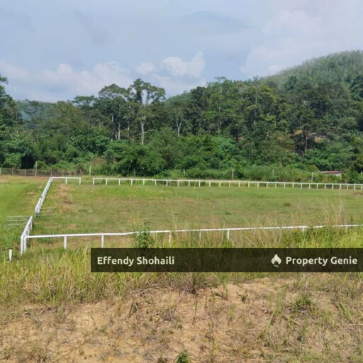 JELEBU KENABOI KG CHENNAH AGRICULTURAL LAND