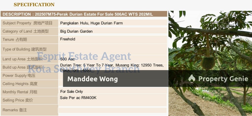 WTS/Durian Estate/Pengkalan Hulu, Perak/500 Acres/400,000