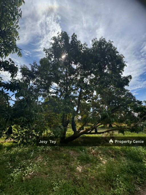 Parit Abdul Rahman, Pontian, Johor (Durian Farm) Land for Sale