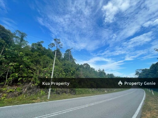Hilly Land For Sale Located at Jalan Matang