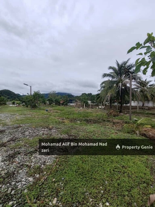 Rumah Banglo Atas Tanah 1 Relong + Ladang Ternakan | Fully Furnished