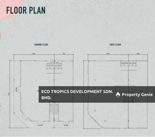 EcoBiz III, Eco Tropics