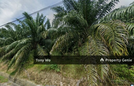 WTS RESIDENTIAL ZONING LAND IN ALOR GAJAH MELAKA.