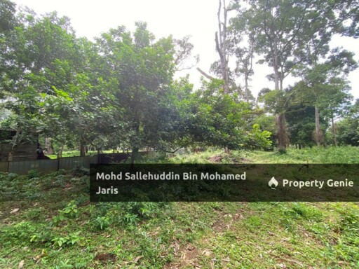 [FREEHOLD] Tanah Pertanian Mukim Beserah