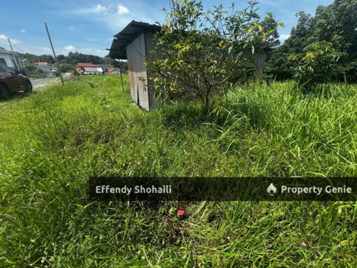 KUANG SG BULOH TANAH PERTANIAN
