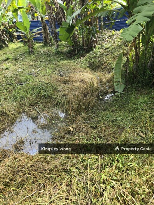Sauk, Kuala Kangsar Freehold 4.48 Acres Agriculture Land Near Main Road