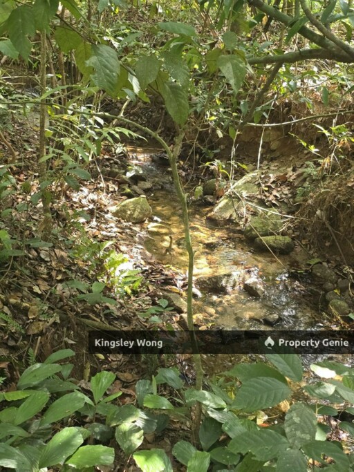 Kati, Kuala Kangsar, Perak Freehold 3.03 acres Agricultural Land With Mountain Water