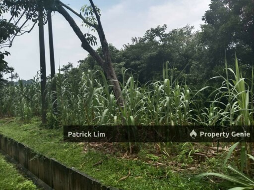 [Freehold] Agricultural Land For Sale @ Mukim Padang Sebang, Melaka