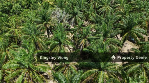 Sg Siput Perak Freehold Oil palm Agricultural land 3.5 acres  Slope land