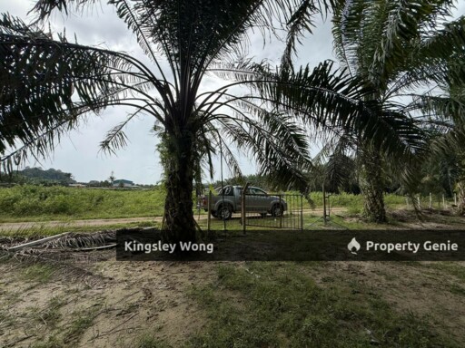Sungai Siput Jalong Tinggi Freehold Agricultural Land 5 from Main Road