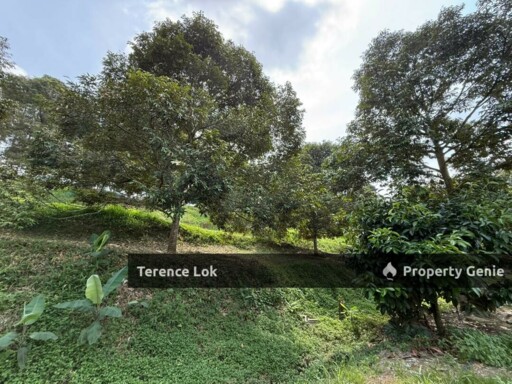 Hosapa, Titi Jelebu Mainroad Land